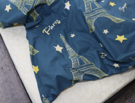 Євро-максі набір постільної білизни 200*220 із Бязі "Gold" №153698AB Черешенка™