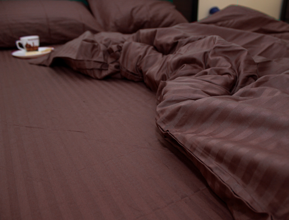 Сімейний набір постільної білизни зі Страйп Сатину №541420 KRISPOL™