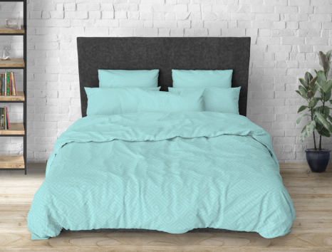 Евро макси набор однотонного постельного белья 200*220 из Бязи "Gold" №15125 Черешенка™