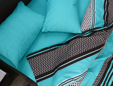 Евро макси набор постельного белья 200*220 из Бязи "Gold" №157447AB Черешенка™