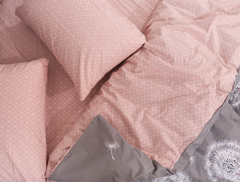 Євро-максі набір постільної білизни 200*220 із Бязі "Gold" №514982AB Черешенка™