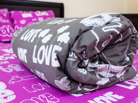 Двоспальний набір постільної білизни 180*220 із Бязі "Gold" №15727AB Черешенка™