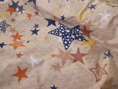 Евро макси набор постельного белья 200*220 из Бязи "Gold" №151269AB Черешенка™