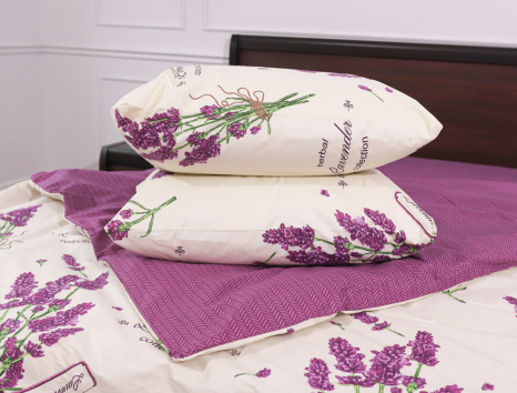 Євро-максі набір постільної білизни 200*220 із Бязі "Gold" №150912АВ Черешенка™