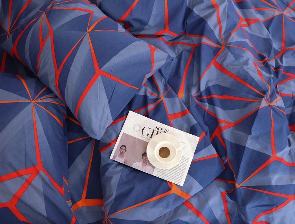 Євро-максі набір постільної білизни 200*220 із Бязі "Gold" №151475  Черешенка™