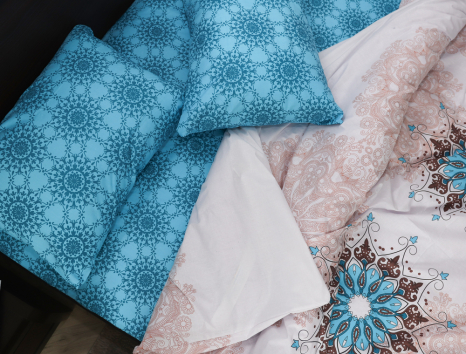 Євро-максі набір постільної білизни 200*220 із Бязі "Gold" №157303AB Черешенка™