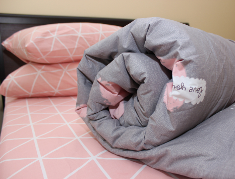 Евро макси набор постельного белья 200*220 из Бязи "Gold" №152913AB Черешенка™