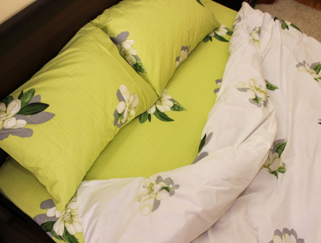 Полуторний набір постільної білизни 150*220 із Бязі "Gold" №516912AB Черешенка™