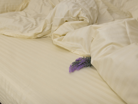 Двоспальний набір постільної білизни 180*220 зі Страйп Сатину №504442 Черешенка™