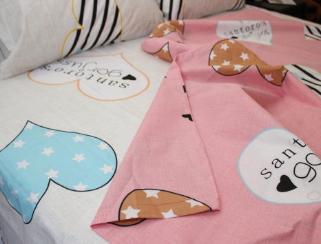 Євро-максі набір постільної білизни 200*220 із Бязі "Gold" №154152AB Черешенка™