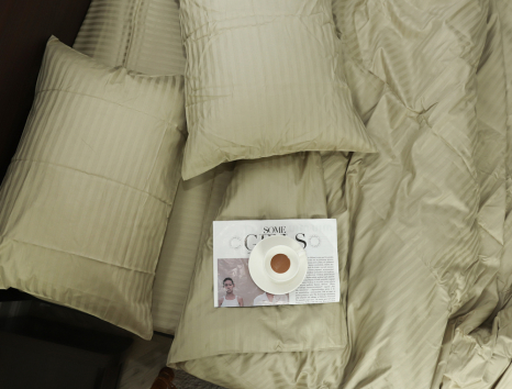 Євро-максі набір постільної білизни 200*220 зі Страйп Сатину №540518