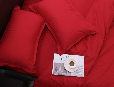 Евро макси набор постельного белья 200*230 из Страйп Сатина D-014