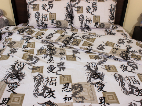 Євро-максі набір постільної білизни 200*220 із Бязі "Gold" №158581 Черешенка™