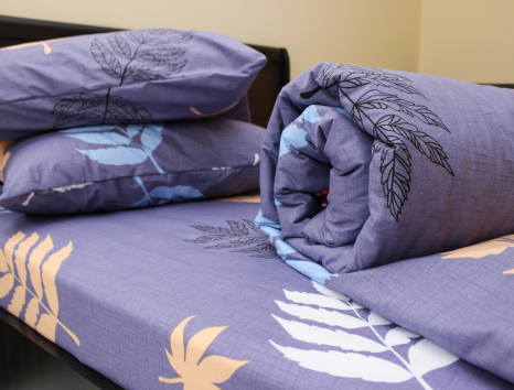 Євро-максі набір постільної білизни 200*220 із Ранфорсу №182120 Черешенка™