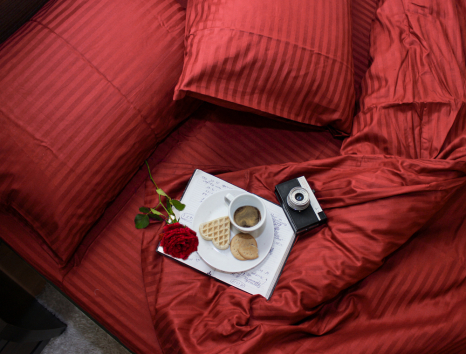 Євро-максі набір постільної білизни 200*220 зі Страйп Сатину №541758 KRISPOL™