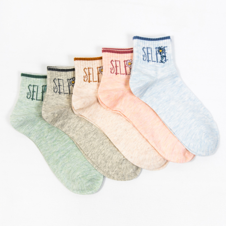 Жіночі шкарпетки Nicen (10 пар) 37-41 №A054-23