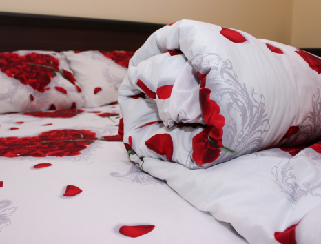 Полуторний набір постільної білизни 150*220 із Ранфорсу №183182 Черешенка™