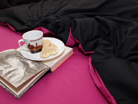 Євро-максі набір однотонної постільної білизни 200*220 із Бязі "Gold" №15401324AB Черешенька™